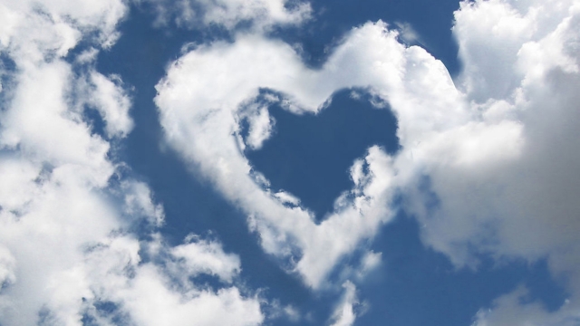 星空体育：乒乓球台室内推荐